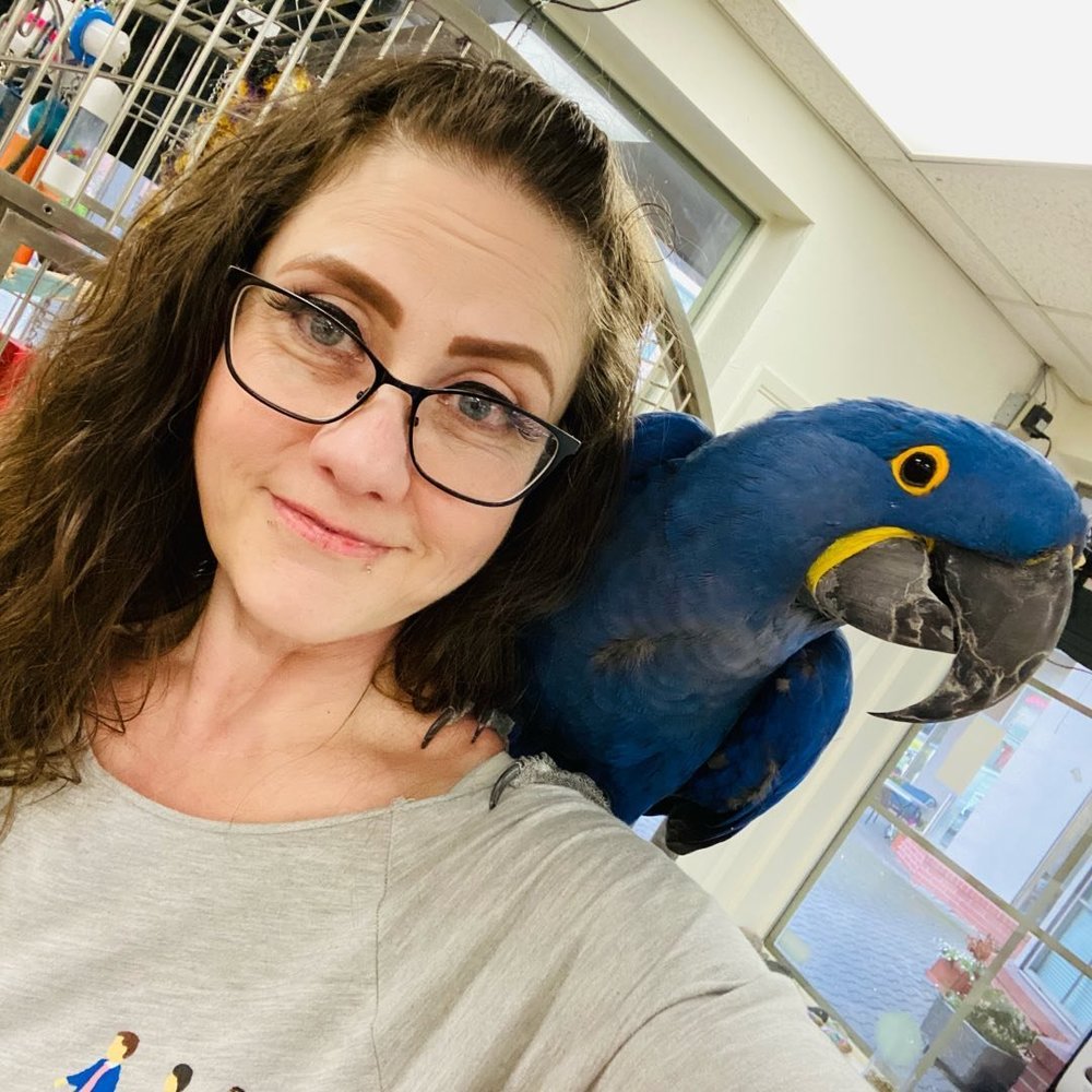 Meet your Posher, Traci